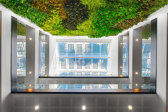 ARUP-David-Attenborough_36