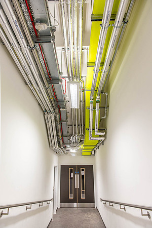ARUP-David-Attenborough_55
